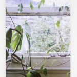 instant-archives-9