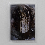 Steve Bishop, <em>Bin Juice I</em>, 2013, bitumen on photograph, cellophane bag